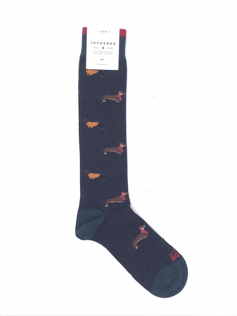 Calzino lungo bassotto blu FW250025 BLU IN THE BOX 